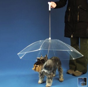 dogbrella 300x296 Зонт для собак