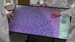 08 multitouch microscope 300x169 Multi touch микроскоп