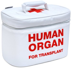 TG organ transplant lunch bag 300x288 Коробка для еды