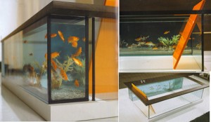 aquarium bath tub1 300x174 5 неожиданных идей для аквариумов