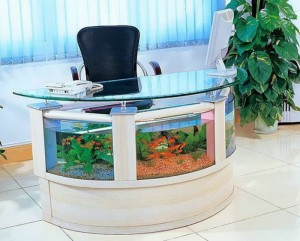 desk aquarium1 300x241 5 неожиданных идей для аквариумов
