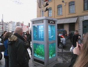 telephone booth france2 300x228 5 неожиданных идей для аквариумов